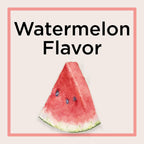 Hidratante de Labios Watermelon Blast Carmex (2 unidades)
