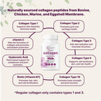 Multi Colágeno Peptidos Complex microingredients (240 cápsulas)