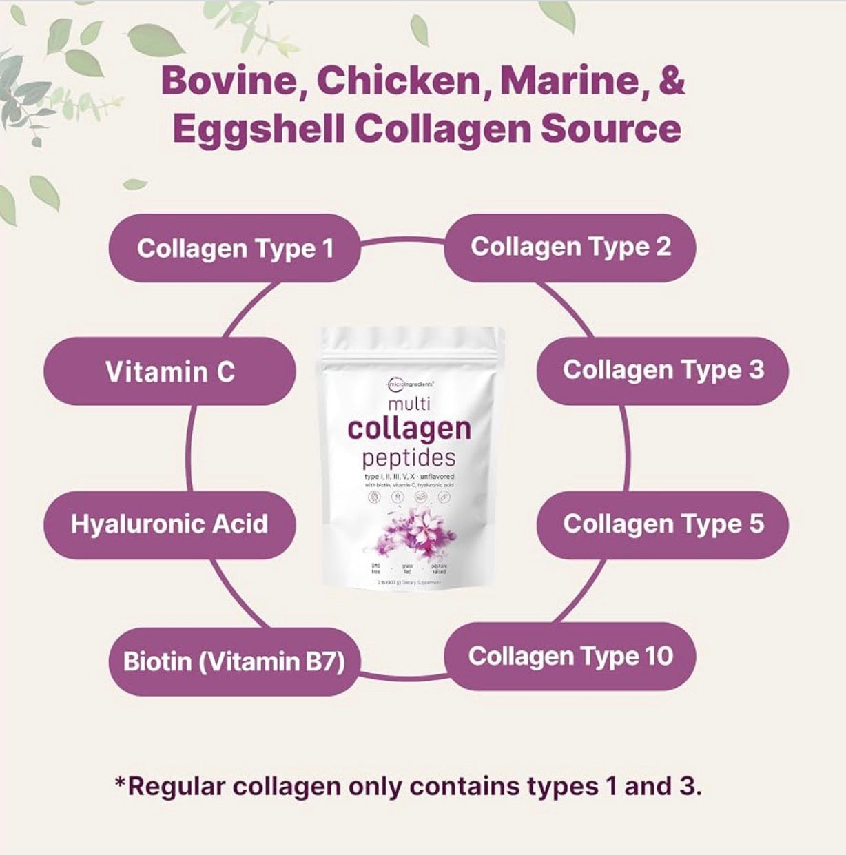 Multi Colágeno Peptidos Complex Microingredients en polvo (907 gramos)