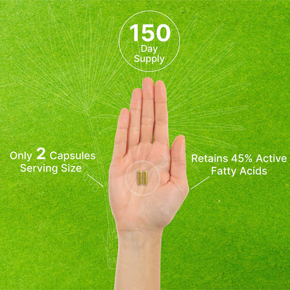 Saw Palmetto Deal Supplement 5000mg (300 cápsulas)