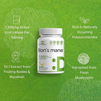 Melena de León Deal Supplement 7.500mg (240 cápsulas)