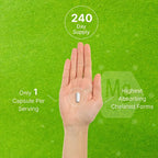 Complejo de Magnesio Deal Supplement 500mg (240 cápsulas)