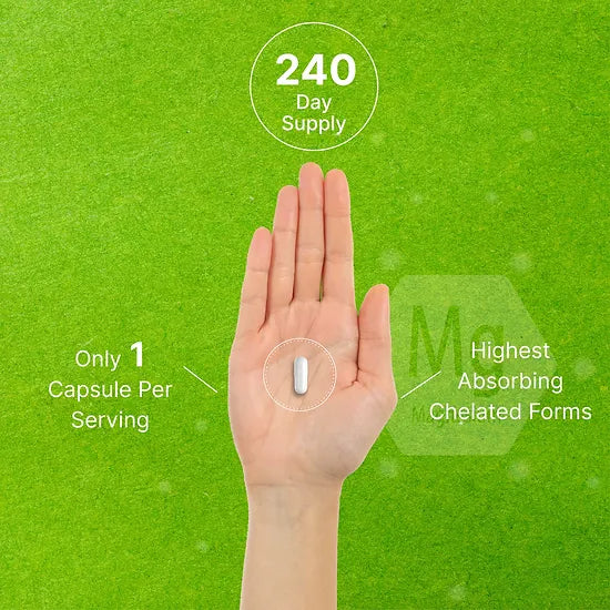 Complejo de Magnesio Deal Supplement 500mg (240 cápsulas)